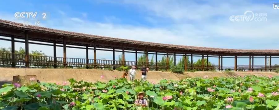 荷香四溢果甜盈枝：夏日美食新体验 特色农业激活“舌尖经济”