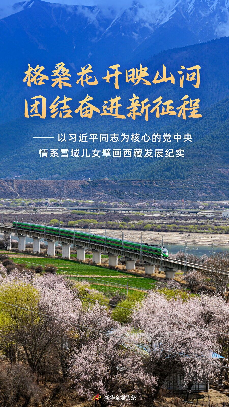 格桑花开映山河 团结奋进新征程——以习为核心的党中央情系雪域
